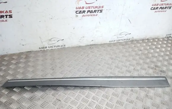 Mitsubishi Galant Front door trim (molding)