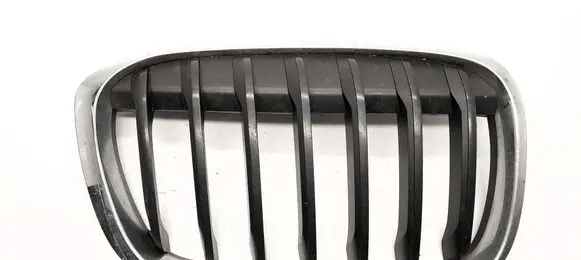 BMW X1 F48 F49 Front grill 7354824