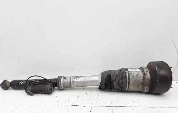 Mercedes-Benz S AMG W221 Rear shock absorber/damper 2213202113