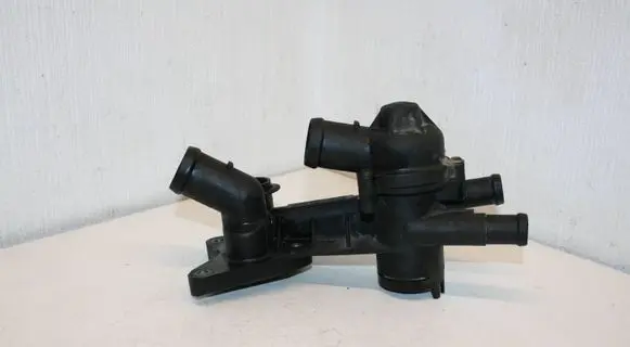 Thermostat/thermostat housing