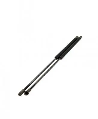 Toyota Prius (NHW20) Tailgate/trunk strut/damper