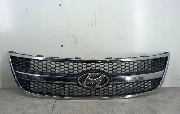 Hyundai H-1, Starex, Satellite Front grill 865604H000