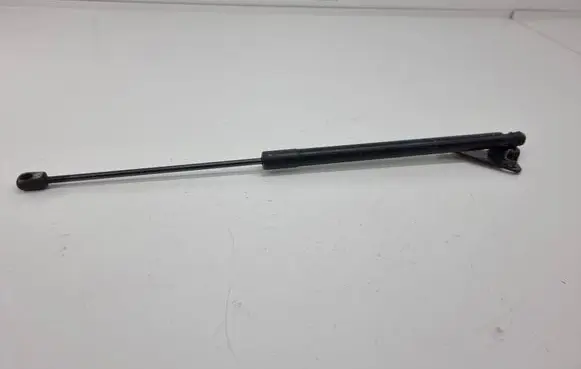 Tailgate/trunk strut/damper
