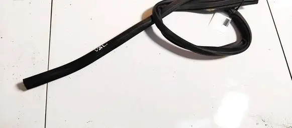 Renault Kangoo I Rubber seal front coupe door 