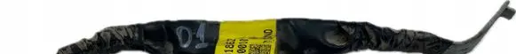 Hyundai Genesis Wiring harness 91862R0010