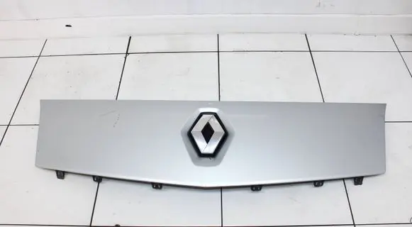 Renault Kangoo II Front grill 8200499017