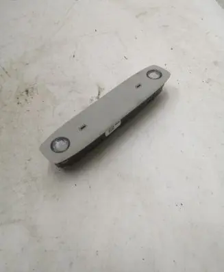 Tesla Model 3 Front seat light P109257400C