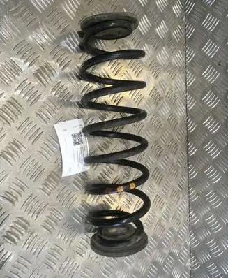 Rear coil spring
