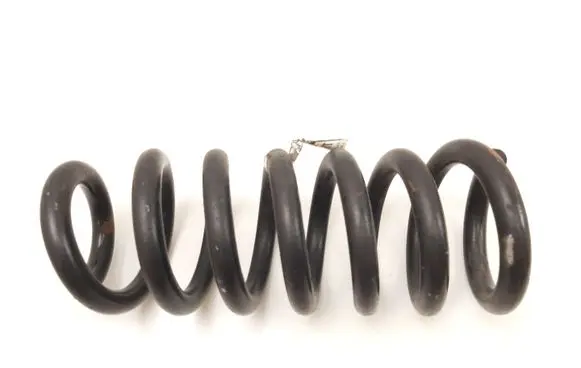 Ford Explorer Rear coil spring DB535560FC