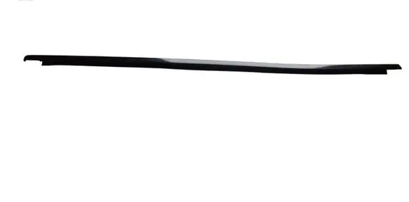Renault Arkana Rear door glass trim molding 310016014
