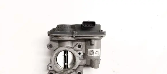Nissan Qashqai Throttle valve H8201171233