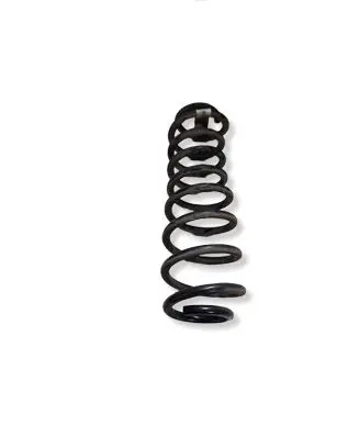 Ford Mustang V Rear coil spring 