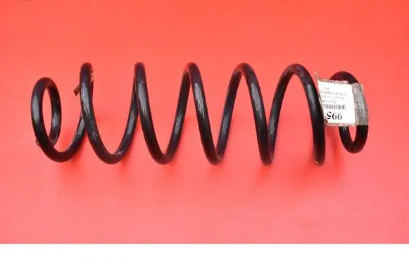 Rear coil spring