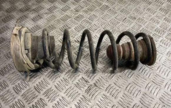 Citroen Berlingo Rear coil spring
