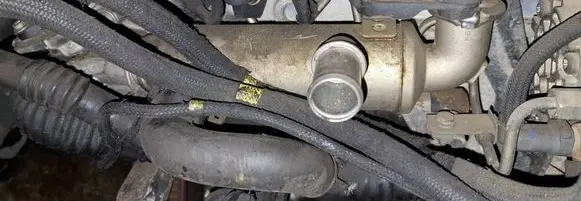 EGR valve cooler