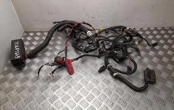 Tesla Model S Other wiring loom 100909672