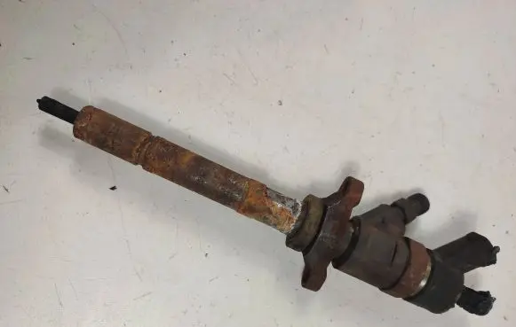 Peugeot 5008 Fuel injector 0445110259