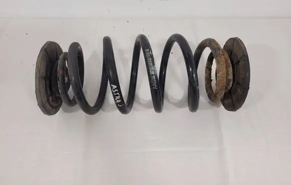Rear coil spring