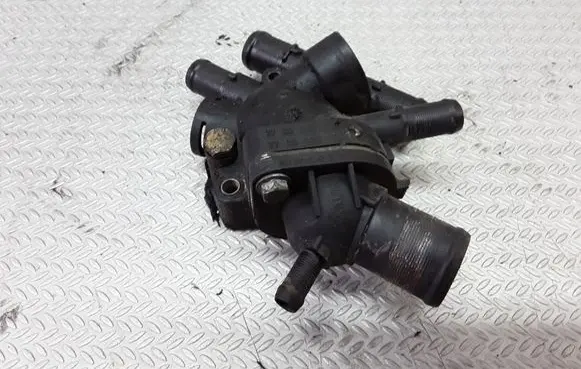 Thermostat/thermostat housing
