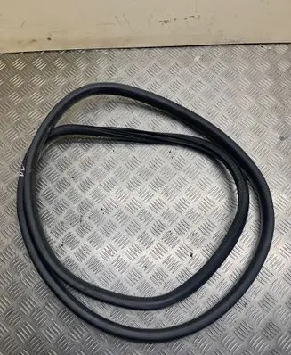 Renault Latitude (L70) Front door rubber seal 