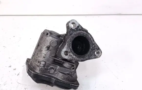 Nissan Juke I F15 EGR valve