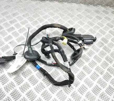 KIA Niro Front door wiring loom 91615Q4010