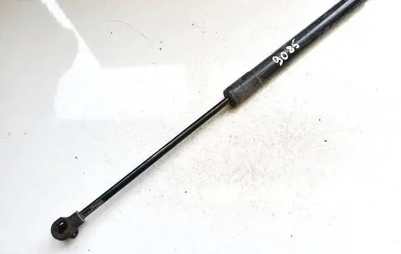 Renault Zoe Tailgate/trunk strut/damper 904502915r