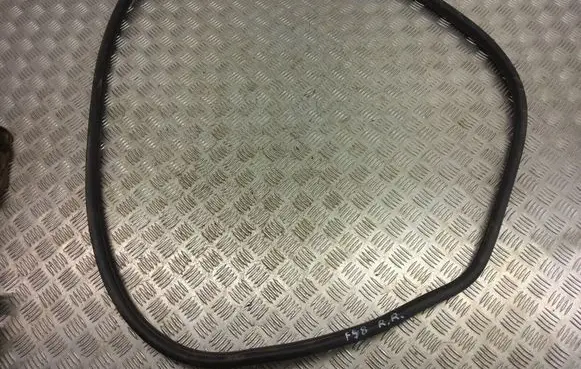 BMW X1 F48 F49 Rear door rubber seal (on body) 7349665