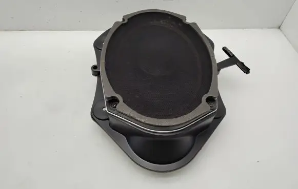 Chrysler 300 - 300C Front door speaker P05059067AC
