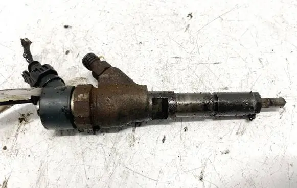 Citroen C5 Fuel injector 0445110076 9641742880