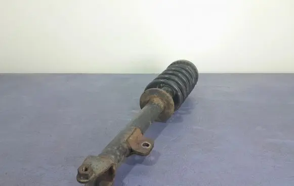 Dodge Charger Front shock absorber/damper 04895518AE