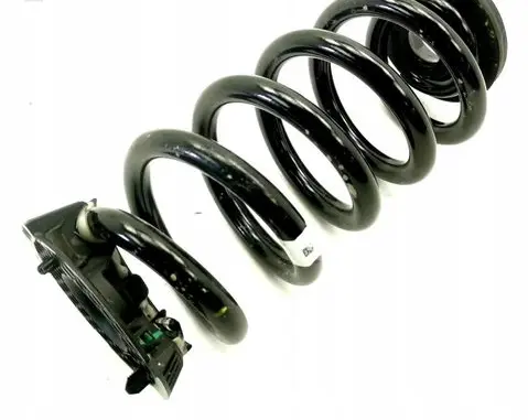 Volkswagen ID.4 Rear coil spring 1EA511103J