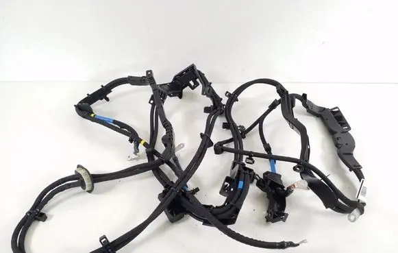 Other wiring loom
