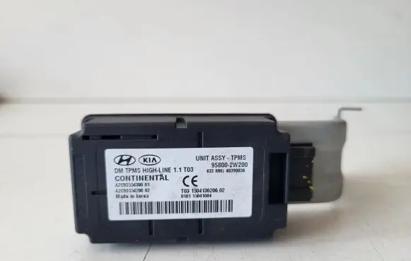 Hyundai Santa Fe Other control units/modules 958002W200