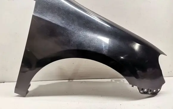 Volkswagen Golf VI Fender