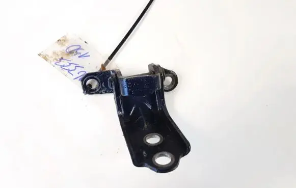 Rear door lower hinge
