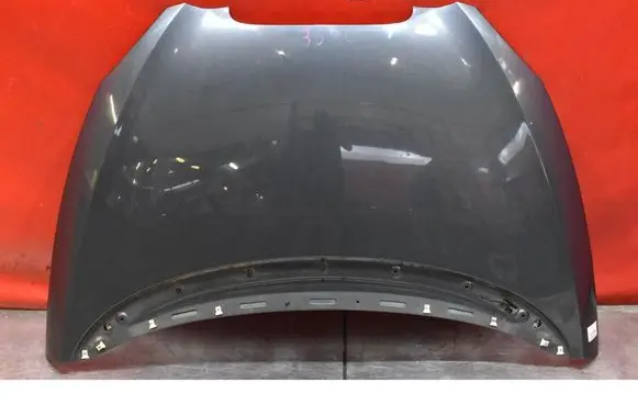 Engine bonnet/hood