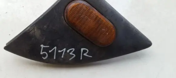 Renault Espace III Front fender indicator light 6025300658d 781600001