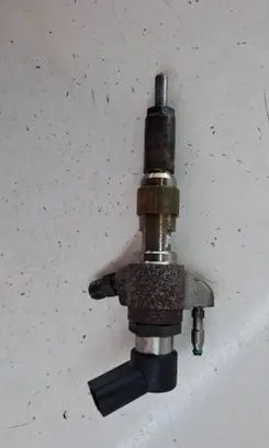 Volvo V40 Cross country Fuel injector 50274V05 9802448680