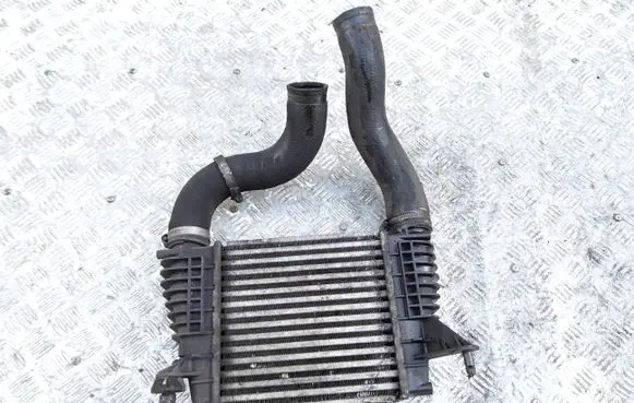 Nissan Juke I F15 Intercooler radiator 14461EM00A