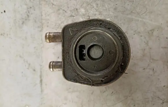 Suzuki Grand Vitara II Engine oil radiator 