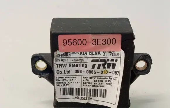 KIA Sorento Other control units/modules 956003E300