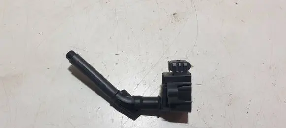 Dacia Jogger High voltage ignition coil A2829060000 17318 ZS0022