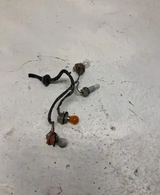 Tail light bulb cover holder