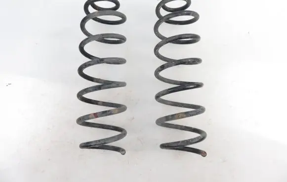 Renault Megane III Rear coil spring 