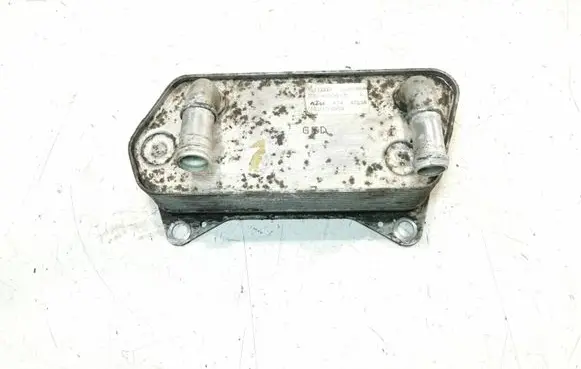 Volkswagen PASSAT B6 Engine oil radiator 02E409061B 47034