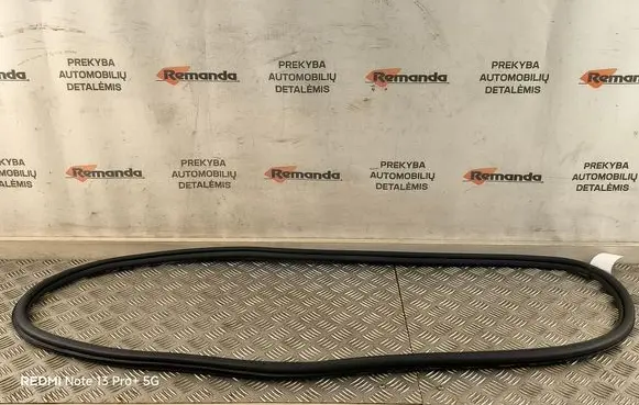 Rear door rubber seal (on body)