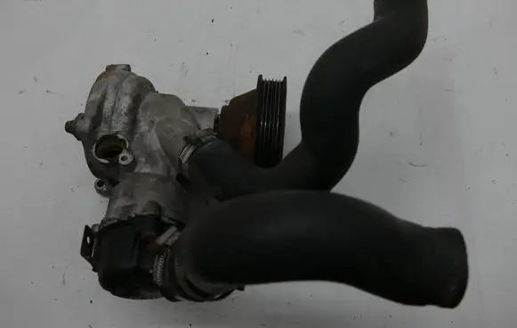 Mercedes-Benz S W126 Water pump 1032000117