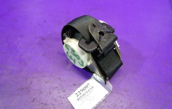 Ford Focus C-MAX Front seatbelt