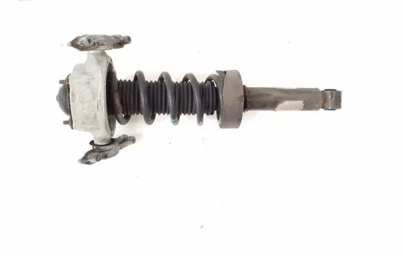 Porsche Cayenne (92A) Rear shock absorber/damper 95833305100